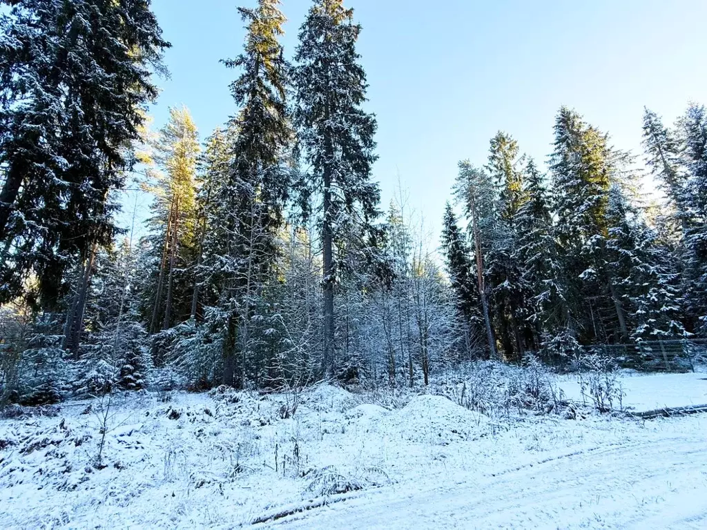 Участок в Ленинградская область, Выборгский район, Первомайское с/пос, ... - Фото 2