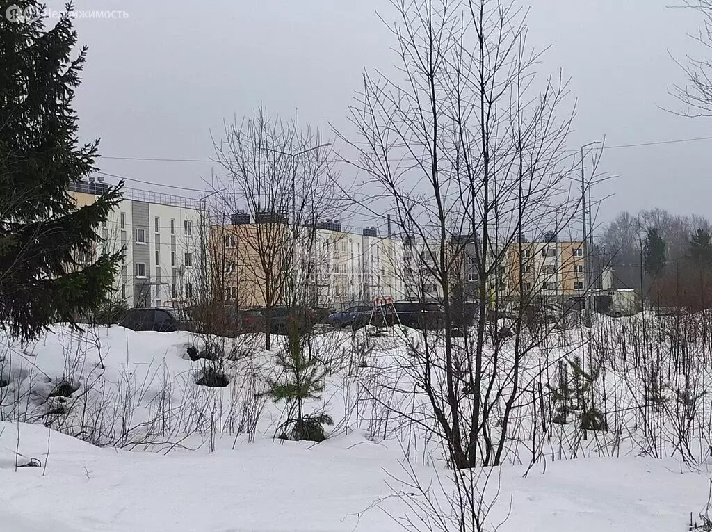 1-комнатная квартира: посёлок Чална, Светлая улица, 22 (27 м) - Фото 1