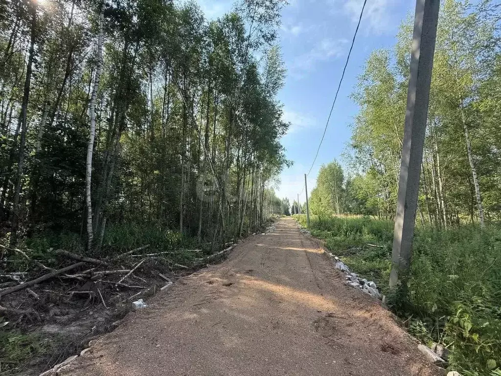 Участок в Костромская область, Красносельский район, Боровиковское ... - Фото 0