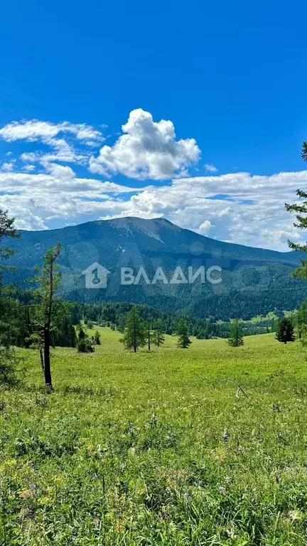 Участок 75 сот. (СНТ, ДНП) - Фото 0