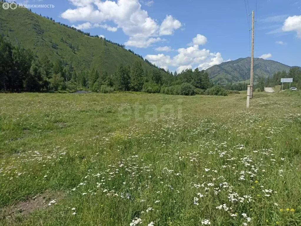 Участок в Шебалинский район, село Барагаш (4730 м) - Фото 1