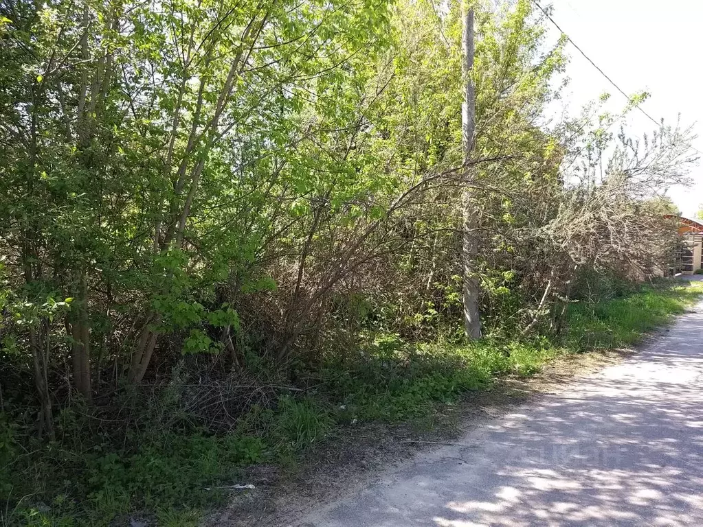 Участок в Московская область, Ликино-Дулево Орехово-Зуевский городской ... - Фото 1