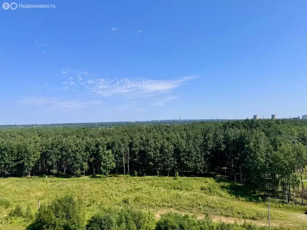 Квартира-студия: Мурино, улица Шувалова, 39 (25 м) - Фото 1