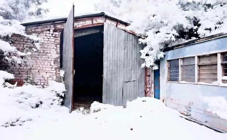 Производственное помещение в Самарская область, Большая Глушица с/пос, ... - Фото 1