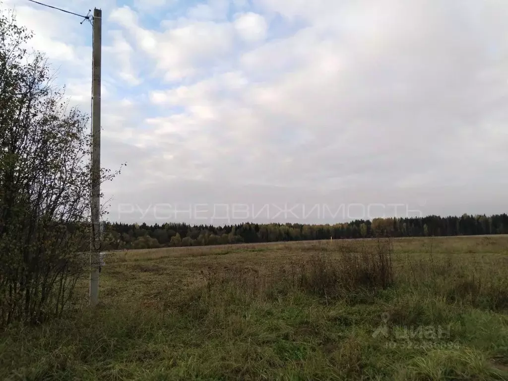 Участок в Кировская область, Киров городской округ, д. Томиловы 3 (8.8 ... - Фото 2