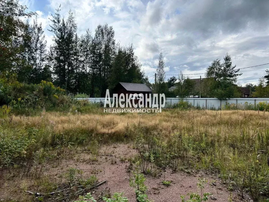 Участок в Ленинградская область, Всеволожский район, Сертоловское ... - Фото 1