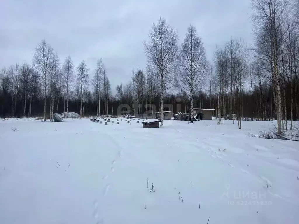 Участок в Вологодская область, Вологда Вологжанка садоводческое ... - Фото 2