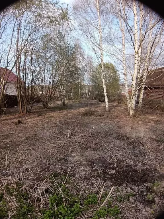 Участок в Нижегородская область, Нижний Новгород Новое Покровское ТИЗ, ... - Фото 2