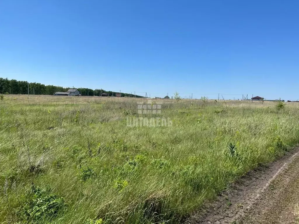 Участок в Воронежская область, Семилукский район, с. Девица ул. ... - Фото 0