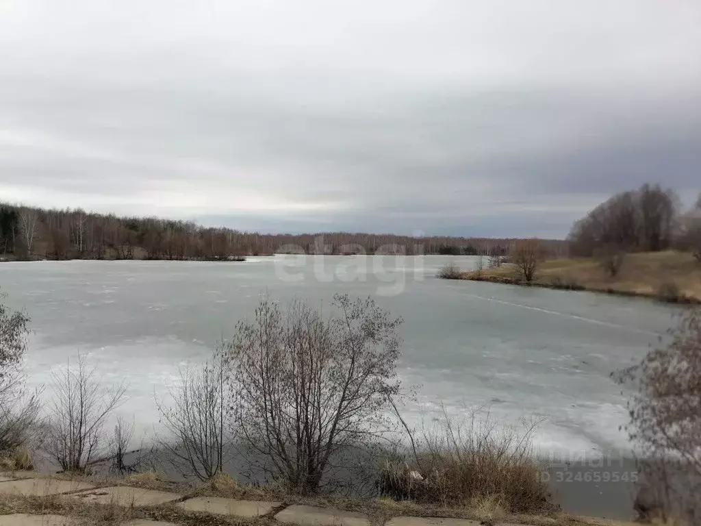 Дом в Татарстан, Верхнеуслонский район, с. Нижний Услон  (30 м) - Фото 2