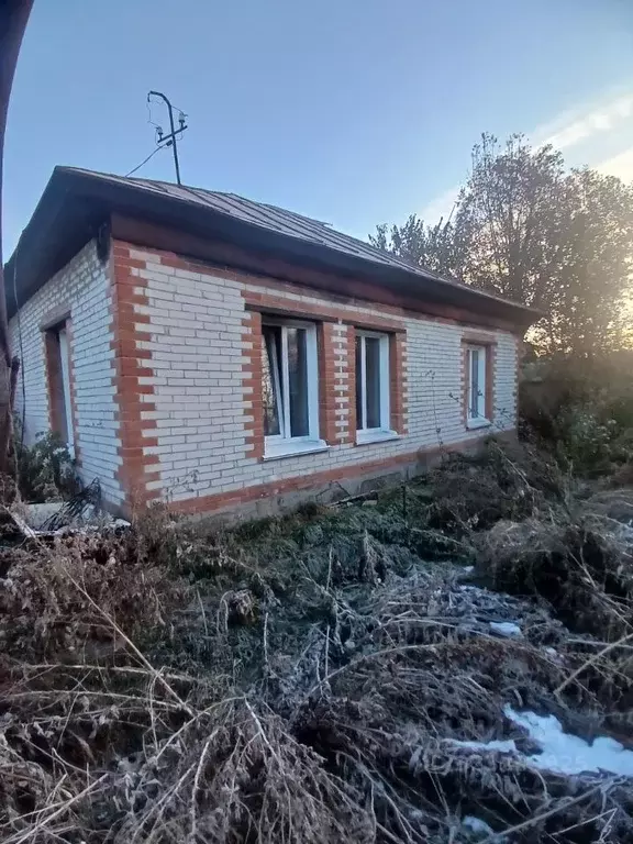Дом в Алтайский край, Барнаул Индустриальная ул., 91 (64 м) - Фото 0