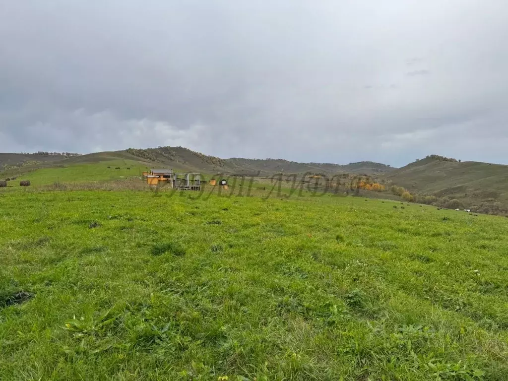 Участок в Алтайский край, Алтайский район, Айский сельсовет, с. Ая  ... - Фото 2