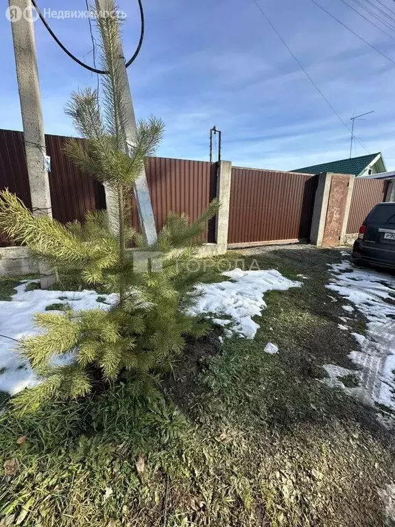 Участок в Новосибирск, улица Седова, 134 (10 м) - Фото 1