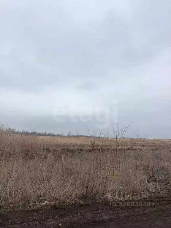 Участок в Курская область, Курский район, Пашковский сельсовет, Биолог ... - Фото 1