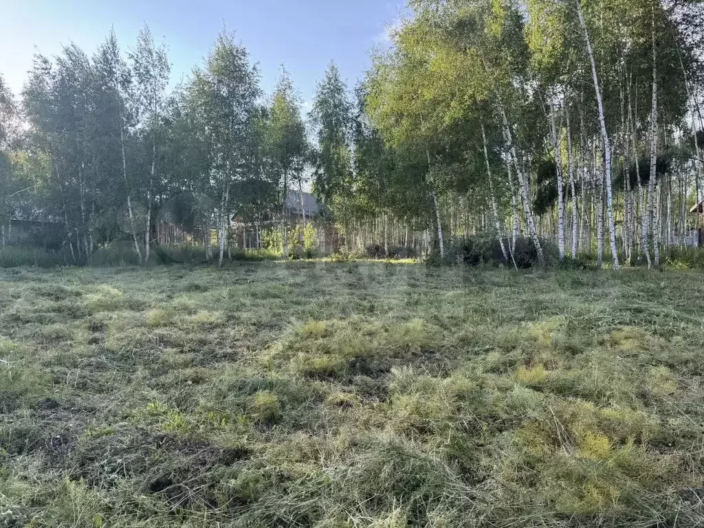 Участок 6 сот. (ИЖС) - Фото 0