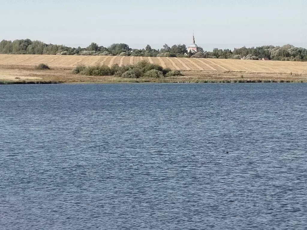 Участок в Владимирская область, Суздальский район, Селецкое ... - Фото 2