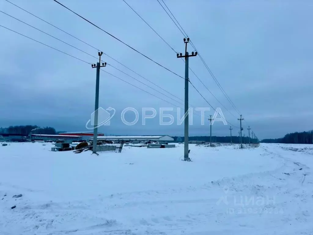 Участок в Тюменская область, Тюменский район, с. Горьковка Сибирская ... - Фото 0