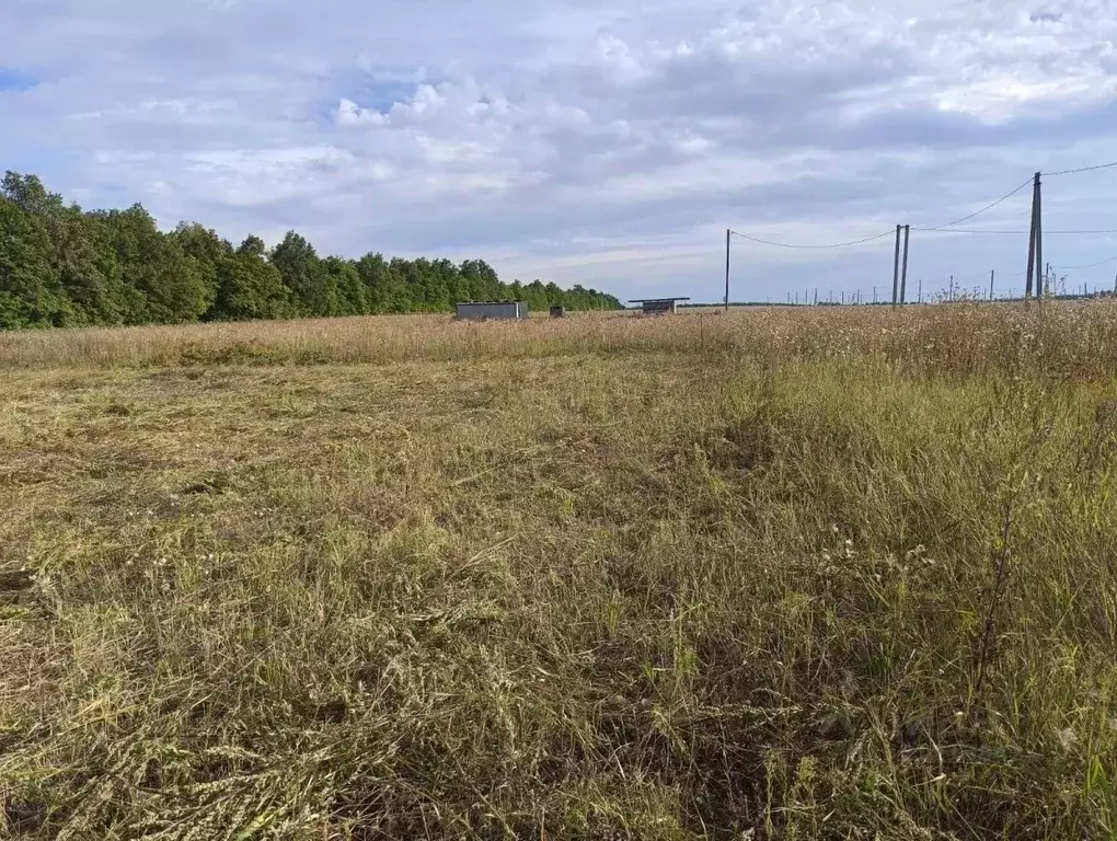 Участок в Татарстан, Нижнекамский район, Майскогорское с/пос, д. ... - Фото 2