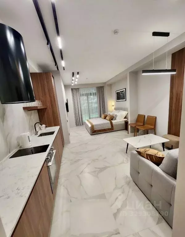 Студия Крым, Ялта Приморский парк имени Гагарина кв-л, 3 (63.0 м) - Фото 2