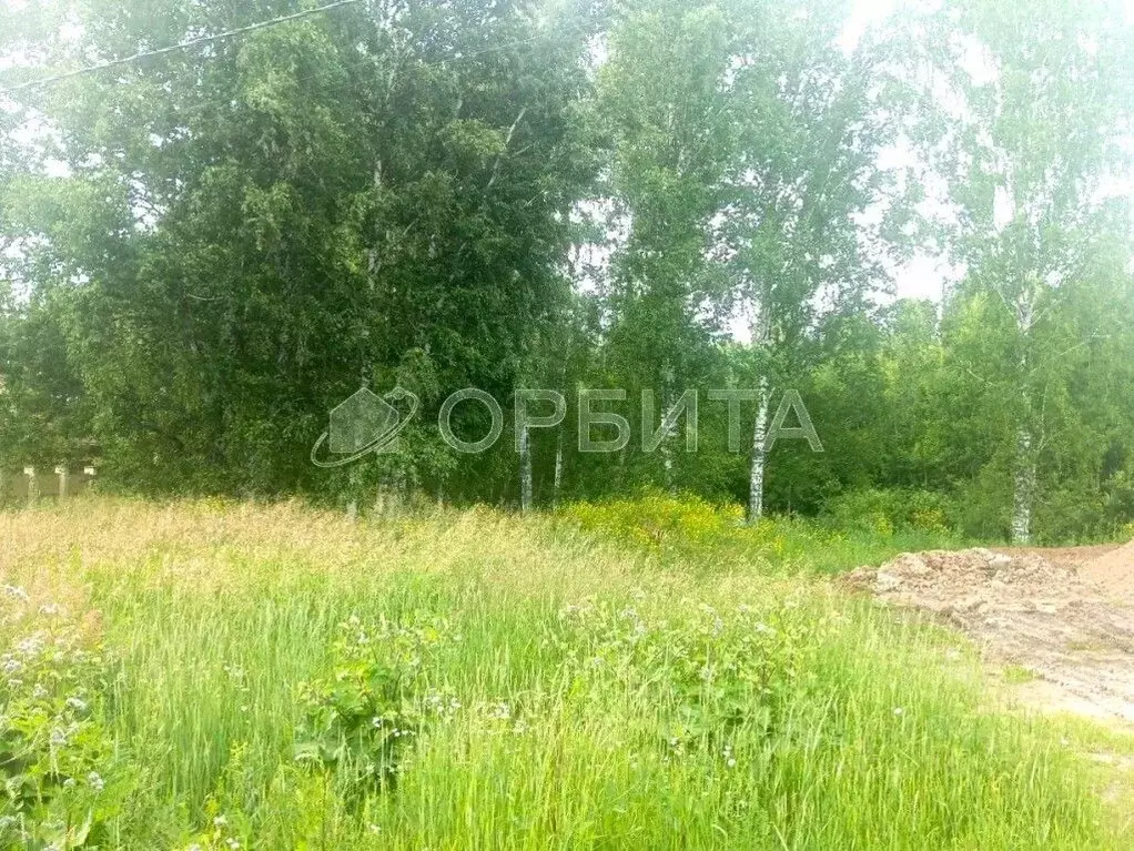 Участок в Тюменская область, Тюменский муниципальный округ, с. ... - Фото 2