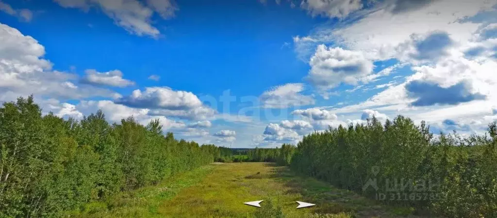 Участок в Московская область, Солнечногорск городской округ, д. ... - Фото 1