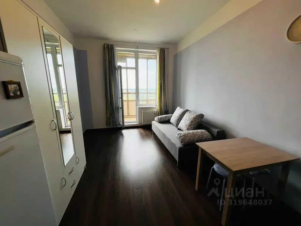 Студия Санкт-Петербург аллея Арцеуловская, 21 (25.0 м) - Фото 1
