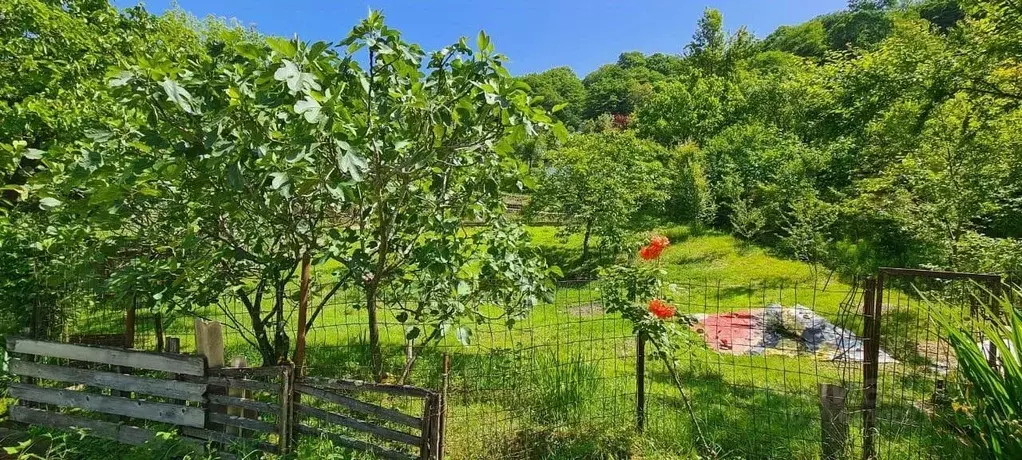 Участок в Краснодарский край, Сочи городской округ, с. Верхний Юрт, ... - Фото 2
