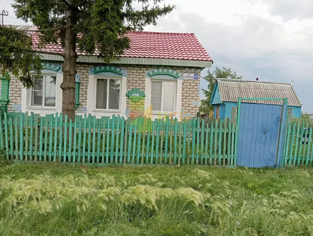 Дом в Омская область, Горьковский район, д. Алексеевка ул. ... - Фото 1