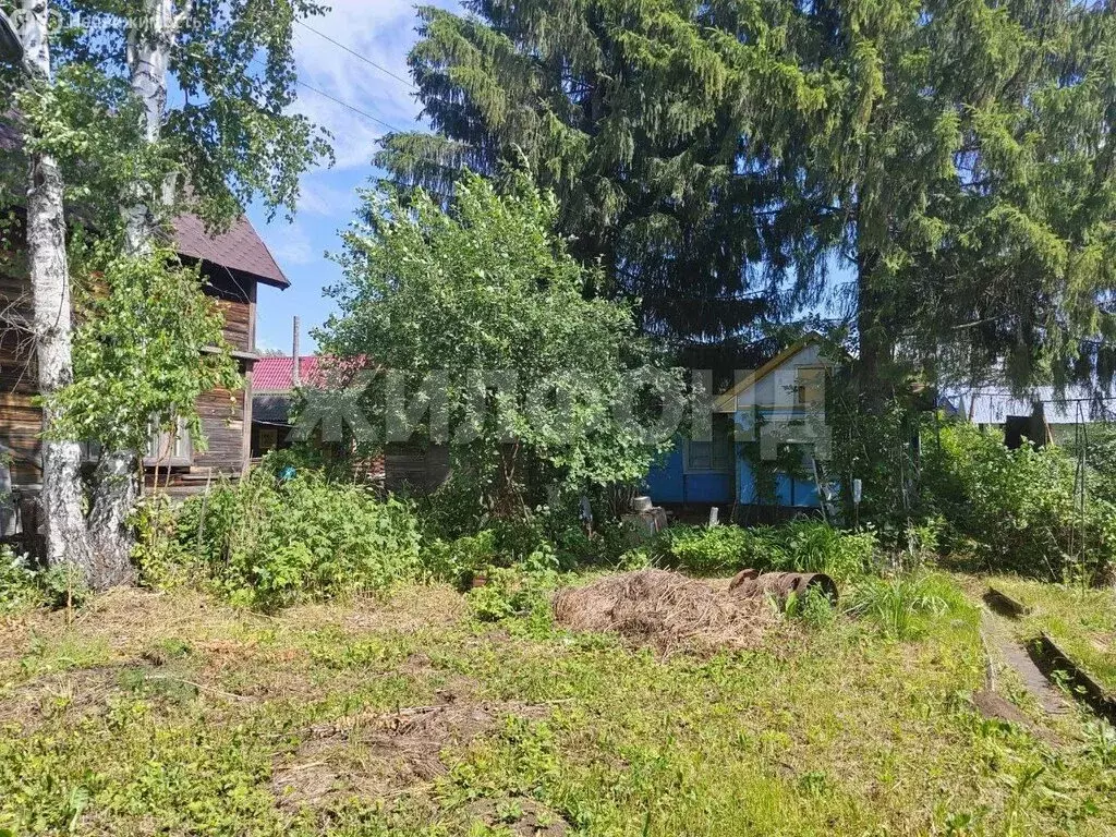 Дом в Мошковский район, садоводческое некоммерческое товарищество ... - Фото 0