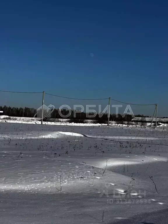 Участок в Тюменская область, Тюменский район, д. Марай  (6.0 сот.) - Фото 1