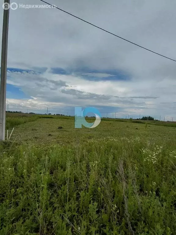 Участок в Кармаскалинский район, Кабаковский сельсовет, село Сихонкино ... - Фото 2