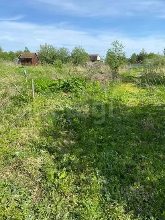 Участок в Ярославская область, Тутаевский муниципальный округ, ... - Фото 1