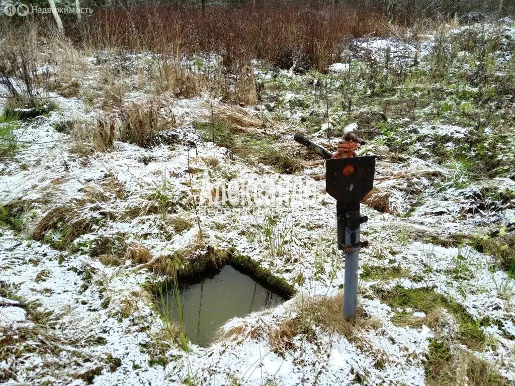 Участок в Приозерский район, Кузнечнинское городское поселение, СНТ ... - Фото 2