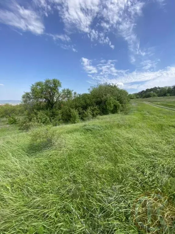 Участок в Крым, Симферопольский район, с. Чистенькое ул. Свиридова, 14 ... - Фото 0