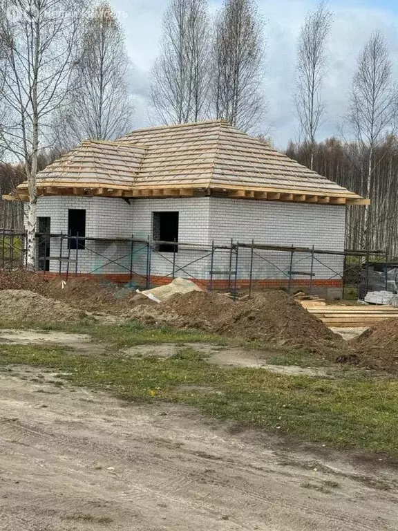 Дом в Нижегородская область, городской округ Бор, деревня Васильково ... - Фото 1