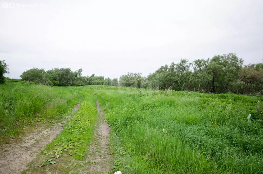 Участок в село Новолыбаево, Кооперативная улица (20 м) - Фото 2