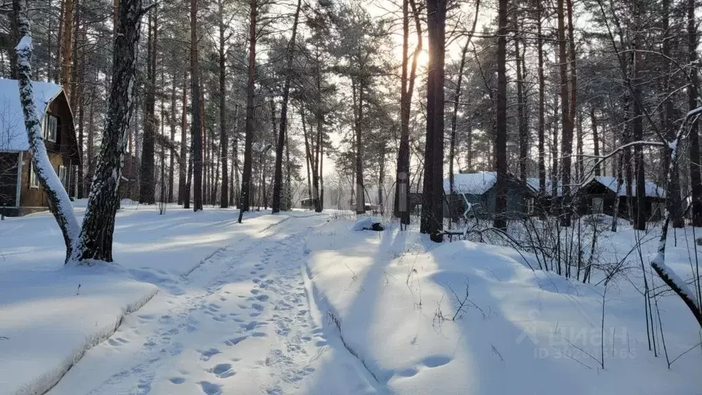 Участок в Новосибирская область, Новосибирск 2-я Моховая ул. (188.0 ... - Фото 0