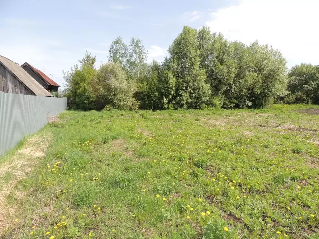 Участок в Нижегородская область, Арзамас городской округ, с. Большое ... - Фото 1