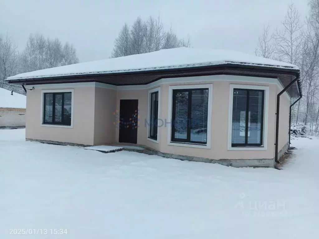 Дом в Нижегородская область, Бор ул. Каштановая (105 м) - Фото 1