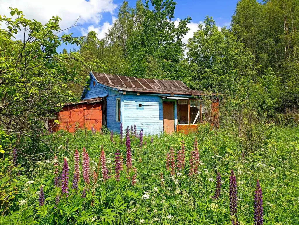 Дом в Ярославский муниципальный округ, территория СНТ Лесное, 32 (10 ... - Фото 1