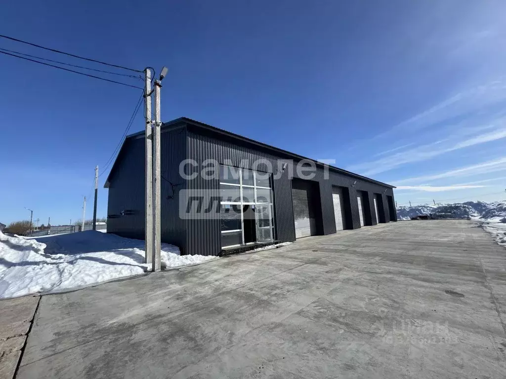 Помещение свободного назначения в Марий Эл, Медведевский район, ... - Фото 2