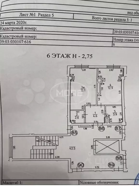 Студия Калининградская область, Гурьевский муниципальный округ, пос. ... - Фото 0