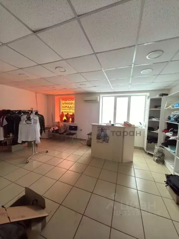 Торговая площадь в Челябинская область, Красноармейский муниципальный ... - Фото 2