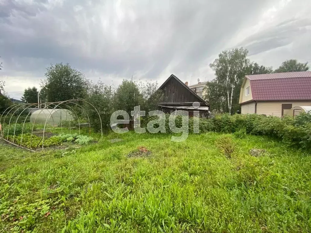 Участок в Кемеровская область, Калтан ул. Горького, 21 (10.9 сот.) - Фото 1