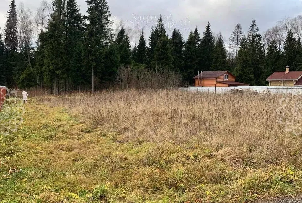 Участок в Московская область, Дмитровский городской округ, Сафоново-2 ... - Фото 0