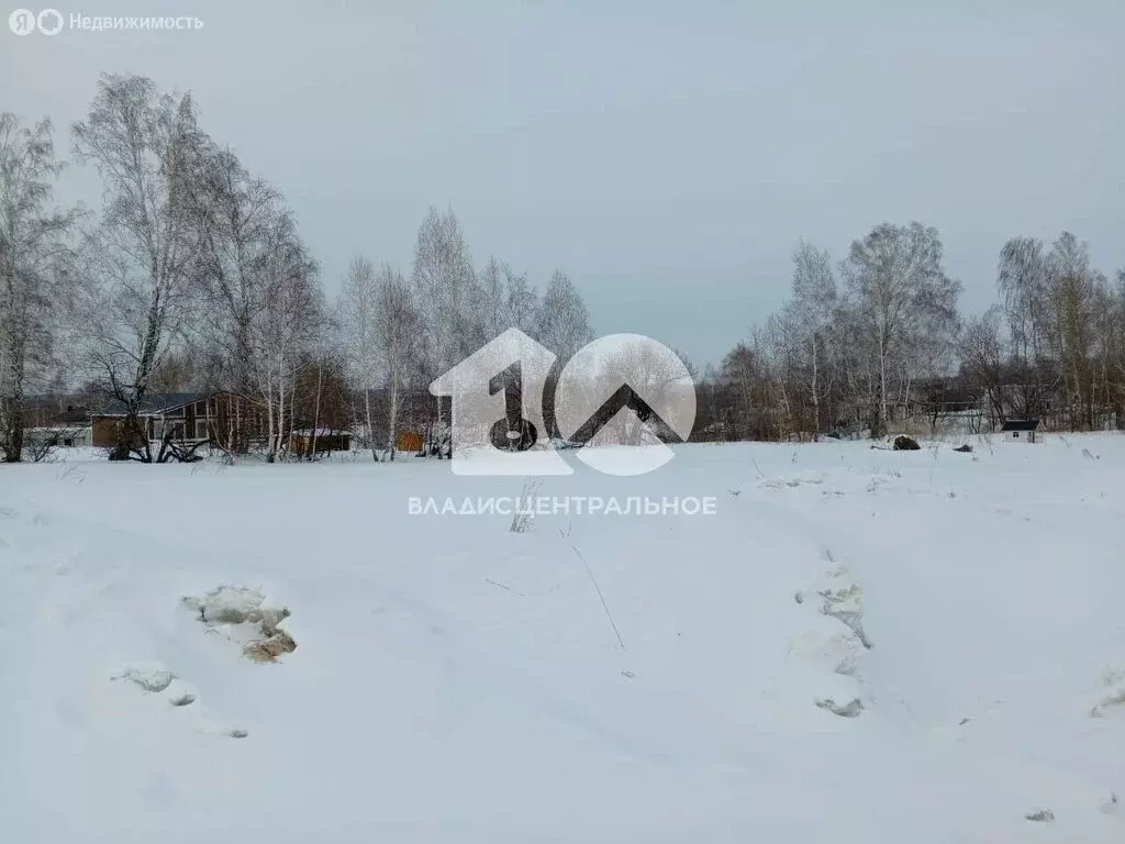 Участок в Каменский сельсовет, ДНТ Каменский Оазис (7.4 м) - Фото 1