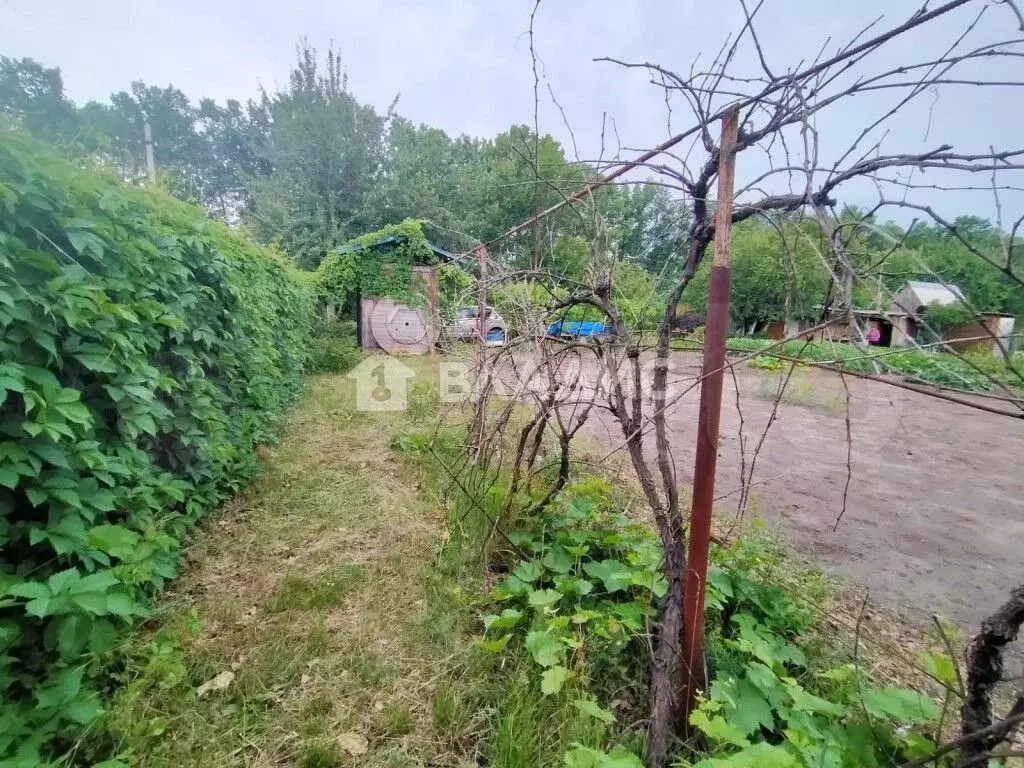 Участок 18 сот. (СНТ, ДНП) - Фото 1