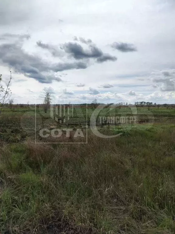 Участок 9 сот. (СНТ, ДНП) - Фото 1