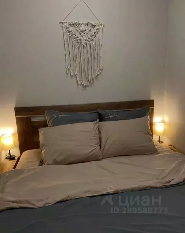 1-к кв. Псковская область, Псков Ольгинская наб., 5А (36.0 м) - Фото 1