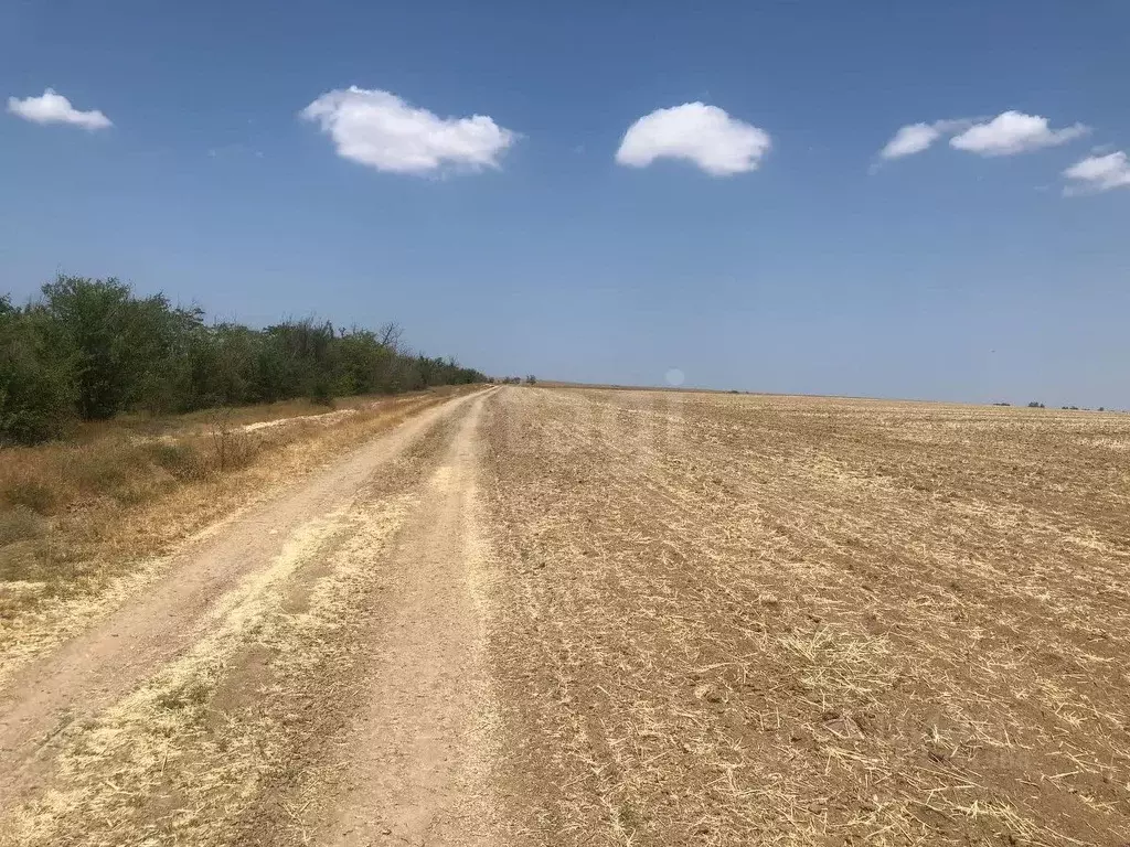 Участок в Крым, Черноморский район, с. Окуневка  (100.19 сот.) - Фото 0